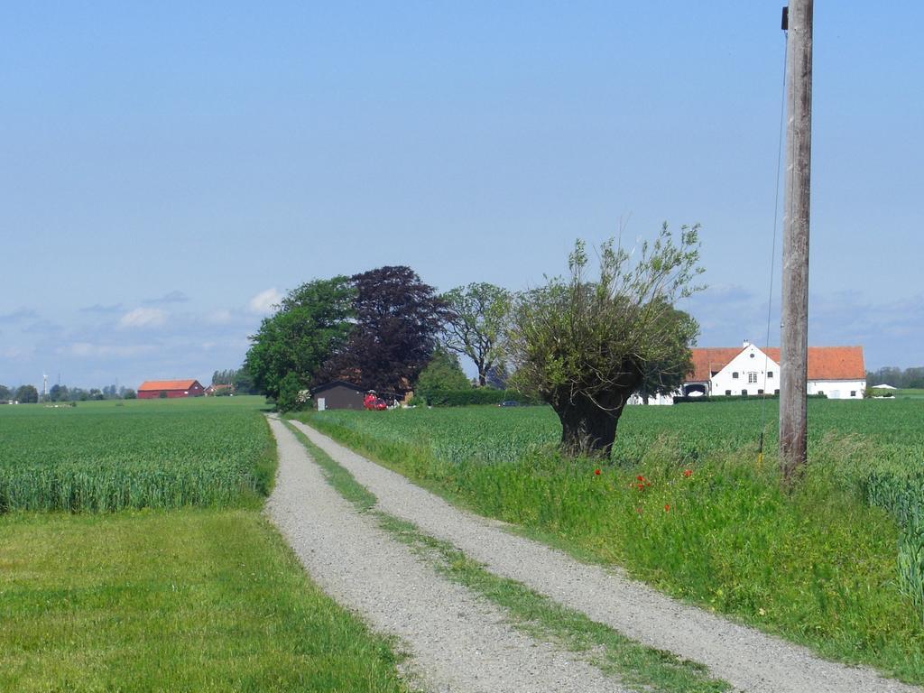Hagestad 47 Löderup Kültér fotó